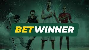 BetWinner Platform A Comprehensive Guide to Betting Online
