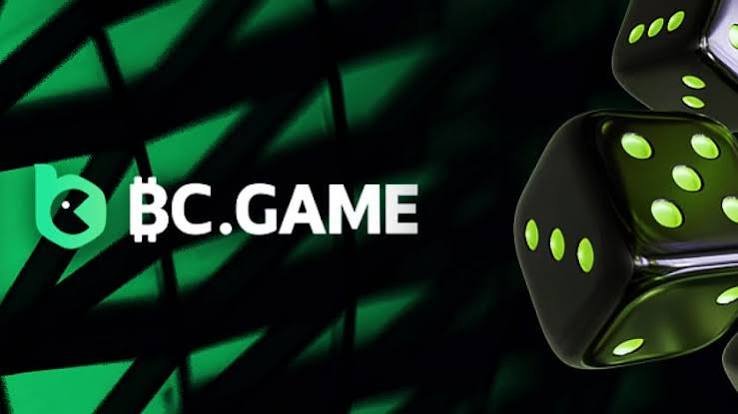 Explore the World of BC Fun Crypto Casino Your Ultimate Gaming Destination